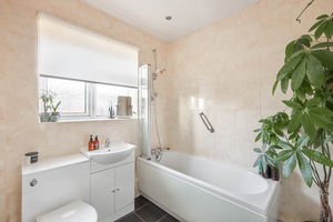 Photo 11- click for photo gallery